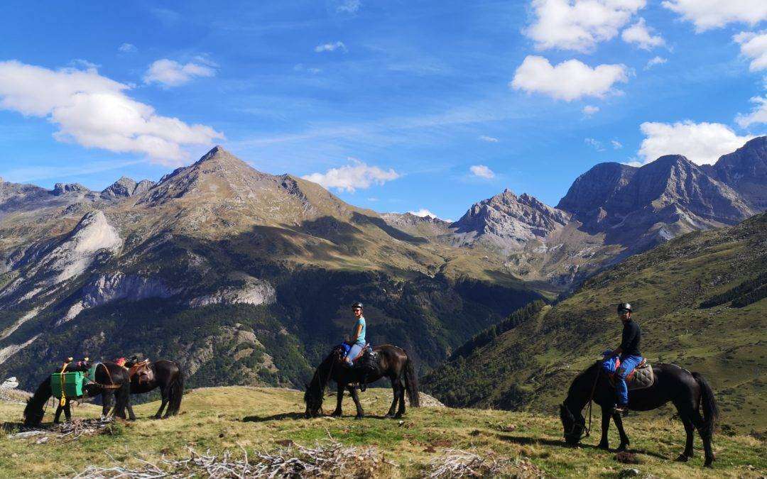 Des randonnées à cheval éthiques et chic avec Gandalha