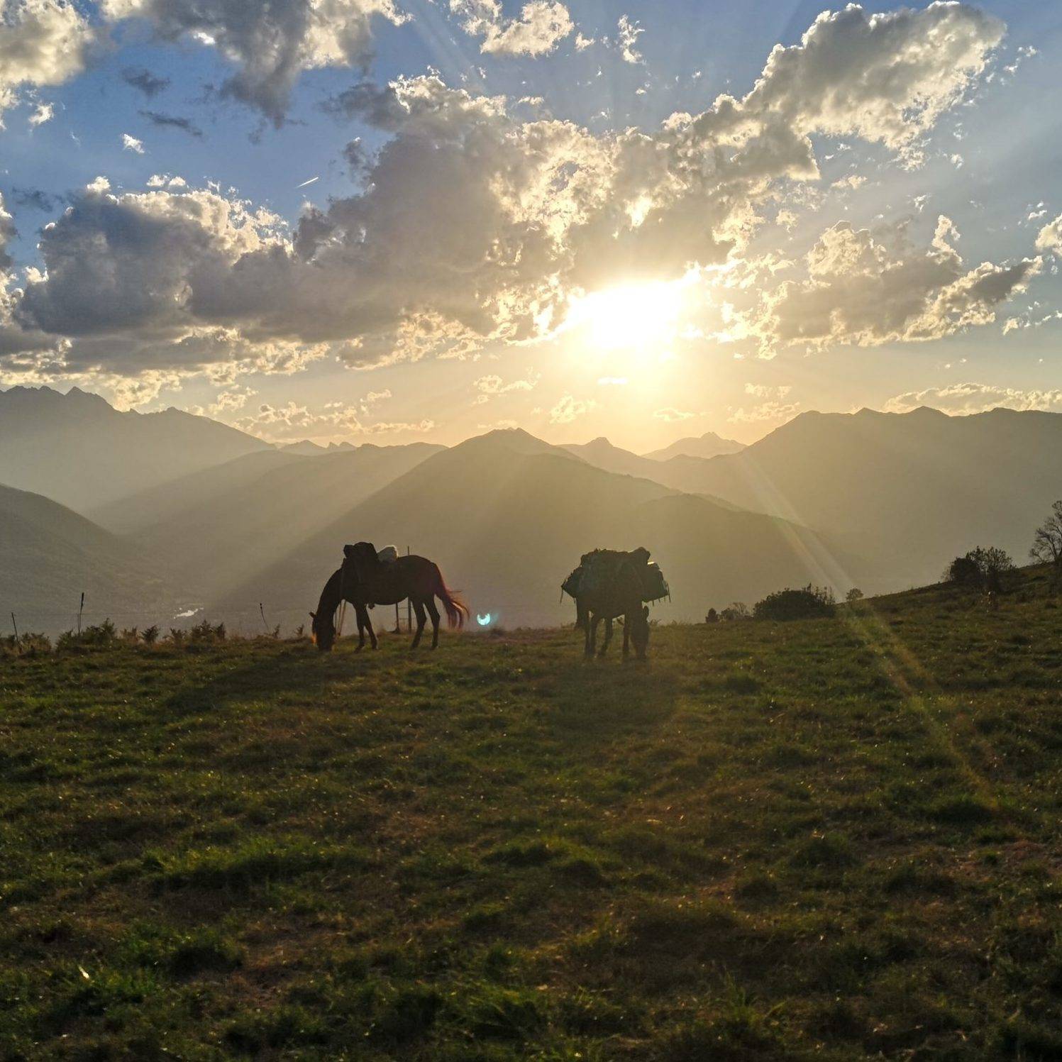 retraite équestre dans les pyrénées - gandalha